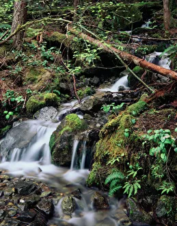 USA, Washington State, Olympic Peninsula, Olympic National Park, View of waterfall USA, Washington State, Olympic Peninsula, Olympic National Park, View of waterfall