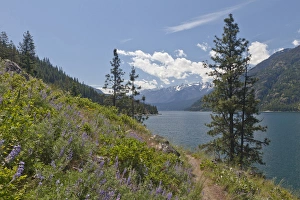 USA, Washington, Stehekin. Landscape of Lake Chelan USA, Washington, Stehekin. Landscape of Lake Chelan