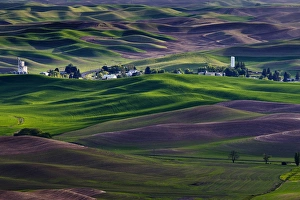 USA, Washington, Whitman County. Steptoe Butte view of Steptoe town and Palouse hills in green USA, Washington, Whitman County. Steptoe Butte view of Steptoe town and Palouse hills in green