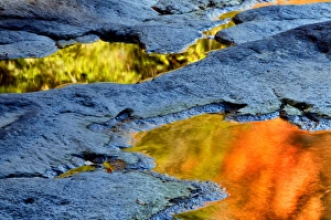 USA, West Virgina, Blackwater Falls State Park. Autumn reflections in pools of water USA, West Virgina, Blackwater Falls State Park. Autumn reflections in pools of water