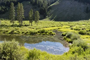 USA, Wyoming. Meandering stream and lush vegetation, Bridger Teton National Forest USA, Wyoming. Meandering stream and lush vegetation, Bridger Teton National Forest