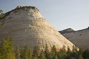 Utah, Zion National Park, Checkerboard Mesa, checkerboard pattern caused from blowing sand Utah, Zion National Park, Checkerboard Mesa, checkerboard pattern caused from blowing sand