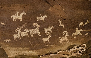 Ute Petroglyphs Depicting Horse and Rider with Bighorn Sheep and Dog-Like Animals Ute Petroglyphs Depicting Horse and Rider with Bighorn Sheep and Dog-Like Animals