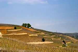 A view east over the terraced vineyards Les Rocules and Les Murets. The Hermitage A view east over the terraced vineyards Les Rocules and Les Murets. The Hermitage