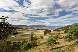 View of Great Oyster Bay and Freycinet Peninsula on Tasmania. Australia, Tasmania View of Great Oyster Bay and Freycinet Peninsula on Tasmania. Australia, Tasmania