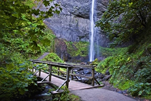 Latourell Falls Oregon Prints: A view of Latourell Falls