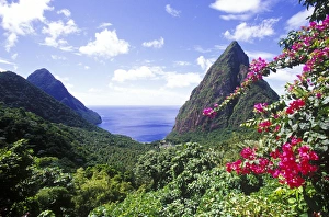 View of the Pitons, Souffriere, St Lucia, Caribbean View of the Pitons, Souffriere, St Lucia, Caribbean