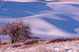 View from Steptoe Butte of rolling hills covered in winter snow in Whitman County View from Steptoe Butte of rolling hills covered in winter snow in Whitman County