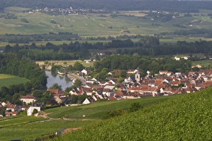 A view of the Vallee de la Marne river and vineyards and the village Cumieres, the A view of the Vallee de la Marne river and vineyards and the village Cumieres, the