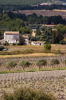 view over the vineyard, small Provencal village in the background Chateau Vannieres view over the vineyard, small Provencal village in the background Chateau Vannieres
