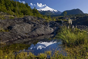 Villarrica National Park, Chile. South America Villarrica National Park, Chile. South America