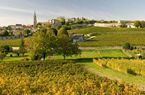 Vineyards in autumn, St Emilion, Gironde, le Bordelais, France Vineyards in autumn, St Emilion, Gironde, le Bordelais, France