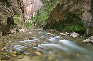 Virgin River reflecting the walls of the Narrows, Zion National Park, Utah, USA Virgin River reflecting the walls of the Narrows, Zion National Park, Utah, USA