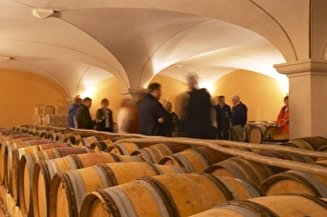 Visitors blurred in the barrel aging cellars with vaulted ceiling. Domaine Gilles Robin Visitors blurred in the barrel aging cellars with vaulted ceiling. Domaine Gilles Robin