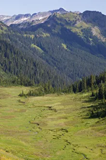 WA, Henry M. Jackson Wilderness, Meander Meadow WA, Henry M. Jackson Wilderness, Meander Meadow