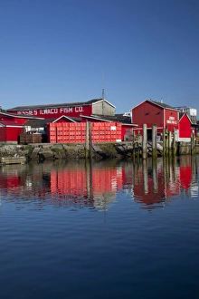 WA, Ilwaco, Jessies Ilwaco Fish Co. cannery at Port of Ilwaco WA, Ilwaco, Jessies Ilwaco Fish Co. cannery at Port of Ilwaco