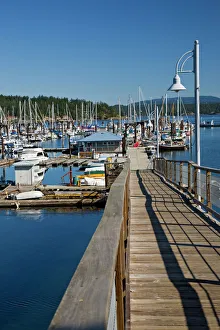 WA, San Juan Island, Friday Harbor, Port of Friday Harbor, marina with boats WA, San Juan Island, Friday Harbor, Port of Friday Harbor, marina with boats