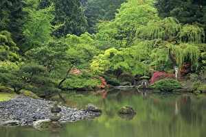 WA, Seattle, Reflecting pool scene, Japanese Garden WA, Seattle, Reflecting pool scene, Japanese Garden