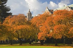 WA, Seattle, University of Washington, The Quad in autumn WA, Seattle, University of Washington, The Quad in autumn