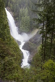 WA, Wallace Falls State Park, Wallace Falls, Wallace River plunges 250 feet WA, Wallace Falls State Park, Wallace Falls, Wallace River plunges 250 feet