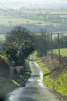 Wales, narrow road leading down hillside in spring Wales, narrow road leading down hillside in spring