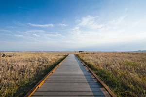 Walkway going through the Badlands National Park, South Dakota, USA Walkway going through the Badlands National Park, South Dakota, USA