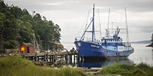Washington, San Juan Islands, Stuart Island, Prevost Harbor. Tuna boat at the dock Washington, San Juan Islands, Stuart Island, Prevost Harbor. Tuna boat at the dock