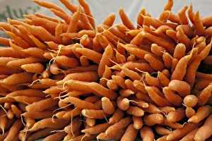 Washington, Seattle, Ballard Market. Carrots for sale at the market Washington, Seattle, Ballard Market. Carrots for sale at the market