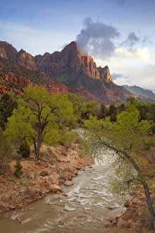 The Watchman Mountain looms over the Virgin River at sunset in Zion National Park in Utah The Watchman Mountain looms over the Virgin River at sunset in Zion National Park in Utah