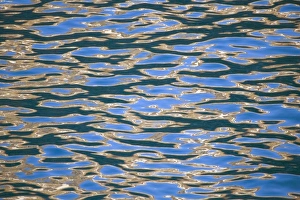 Water Ripples Print with Sunlight Reflection, South Georgia Island