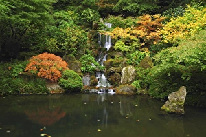 Waterfall in Autunn at the Portland Japanese Garden, Portland, Oregon, USA Waterfall in Autunn at the Portland Japanese Garden, Portland, Oregon, USA