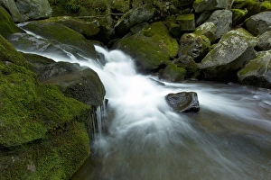 Waterfall, Middle Prong Trailhead, Great Smoky Mountains National Park, TN Waterfall, Middle Prong Trailhead, Great Smoky Mountains National Park, TN