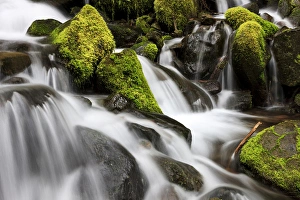 Waterfall. Olympic National Park, Washington, US Waterfall. Olympic National Park, Washington, US