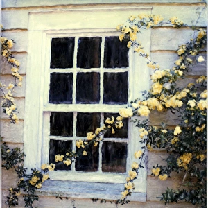 White framed window with yellow roses. Polaroid SX70 Manipulation White framed window with yellow roses. Polaroid SX70 Manipulation