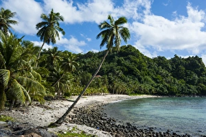 Wild beaches on the east coast of Tutuila island, American Samoa, South Pacific Wild beaches on the east coast of Tutuila island, American Samoa, South Pacific