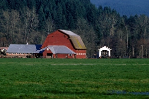 A Willamette Valley farm, with Larwood Bridge in the background, in Lane County, Oregon A Willamette Valley farm, with Larwood Bridge in the background, in Lane County, Oregon