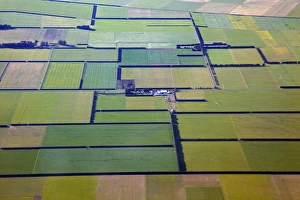 Wind breaks and farmland on Canterbury Plains, near Christchurch, South Island, New Wind breaks and farmland on Canterbury Plains, near Christchurch, South Island, New