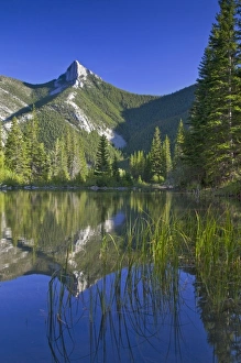 Wind Mountain reflects in a beaver pond in the Lewis and Clark National Forest of Montana Wind Mountain reflects in a beaver pond in the Lewis and Clark National Forest of Montana