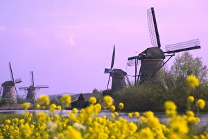 Kinderdijk UNESCO Site Prints: Windmills along
