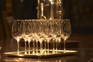 Wine tasting glasses standing on a silver tray in a tasting room Ulriksdal Wardshus Wine tasting glasses standing on a silver tray in a tasting room Ulriksdal Wardshus