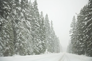 Winter Driving Conditions on Mount Hood, Oregon, USA Winter Driving Conditions on Mount Hood, Oregon, USA