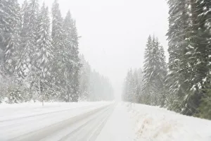 Winter driving conditions on Mount Hood, Oregon, USA Winter driving conditions on Mount Hood, Oregon, USA