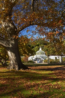 Winter Gardens and autumn colour, Botanic Gardens, Dunedin, Otago, South Island Winter Gardens and autumn colour, Botanic Gardens, Dunedin, Otago, South Island