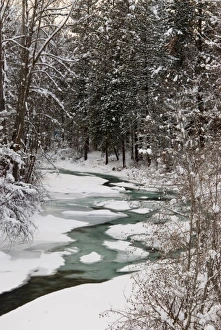 Winter Stream in Forest, Methow valley, Washington Winter Stream in Forest, Methow valley, Washington