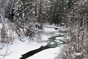 Winter Stream winding through Forest, Methow Valley, Washington Winter Stream winding through Forest, Methow Valley, Washington