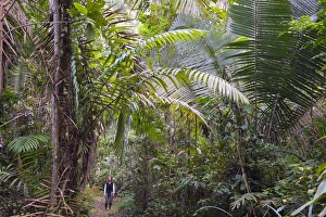 Woman in rainforest, Left- Acai Palm, right- Chapaja Palm, UNESCO Biosphere Reserve Woman in rainforest, Left- Acai Palm, right- Chapaja Palm, UNESCO Biosphere Reserve