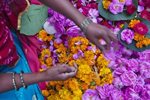 Woman selling flower, Pushkar, Rajasthan, India Woman selling flower, Pushkar, Rajasthan, India