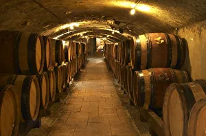 Wooden barrels with aging wine in the cellar of Guigal in Ampuis. Domaine E Guigal Wooden barrels with aging wine in the cellar of Guigal in Ampuis. Domaine E Guigal