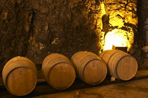 Wooden barrels for fermenting and aging white wine. Chateau Romanin, Saint Remy de Provence Wooden barrels for fermenting and aging white wine. Chateau Romanin, Saint Remy de Provence