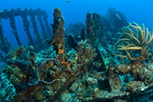 Wreck of the RMS Rhone, iron-hulled steam sailing vessel, sank after the Great Hurricane Wreck of the RMS Rhone, iron-hulled steam sailing vessel, sank after the Great Hurricane